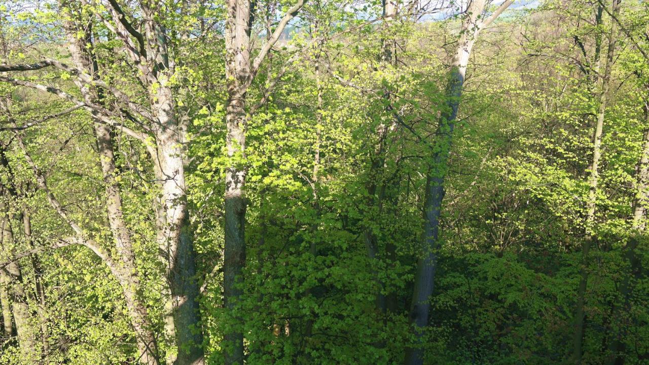 Apartament Miedzy Strumykami Karpacz Buitenkant foto